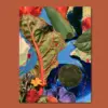 The Garden Swallows the Map