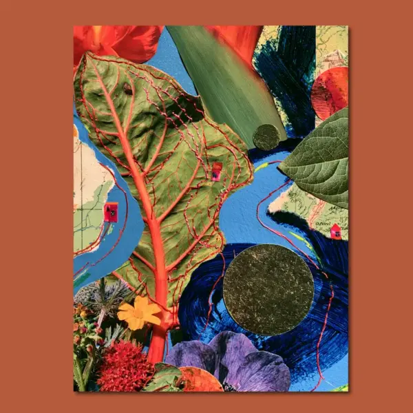 The Garden Swallows the Map