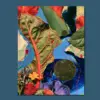 The Garden Swallows the Map