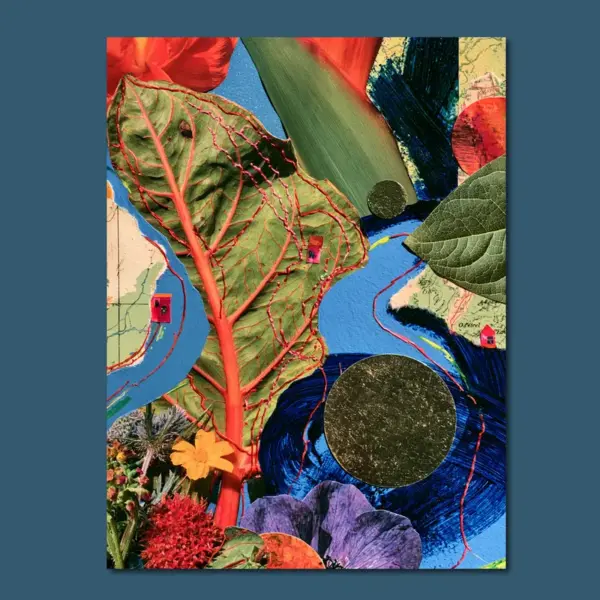 The Garden Swallows the Map