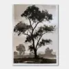 Solitary Tree, Open Sky