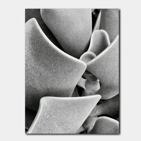 Monochrome Microscopic Sculptural Fold Abstract