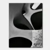 SKU0300_01 Black and White Organic Cutout Abstract